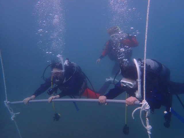 ダイビング|マハロ大阪