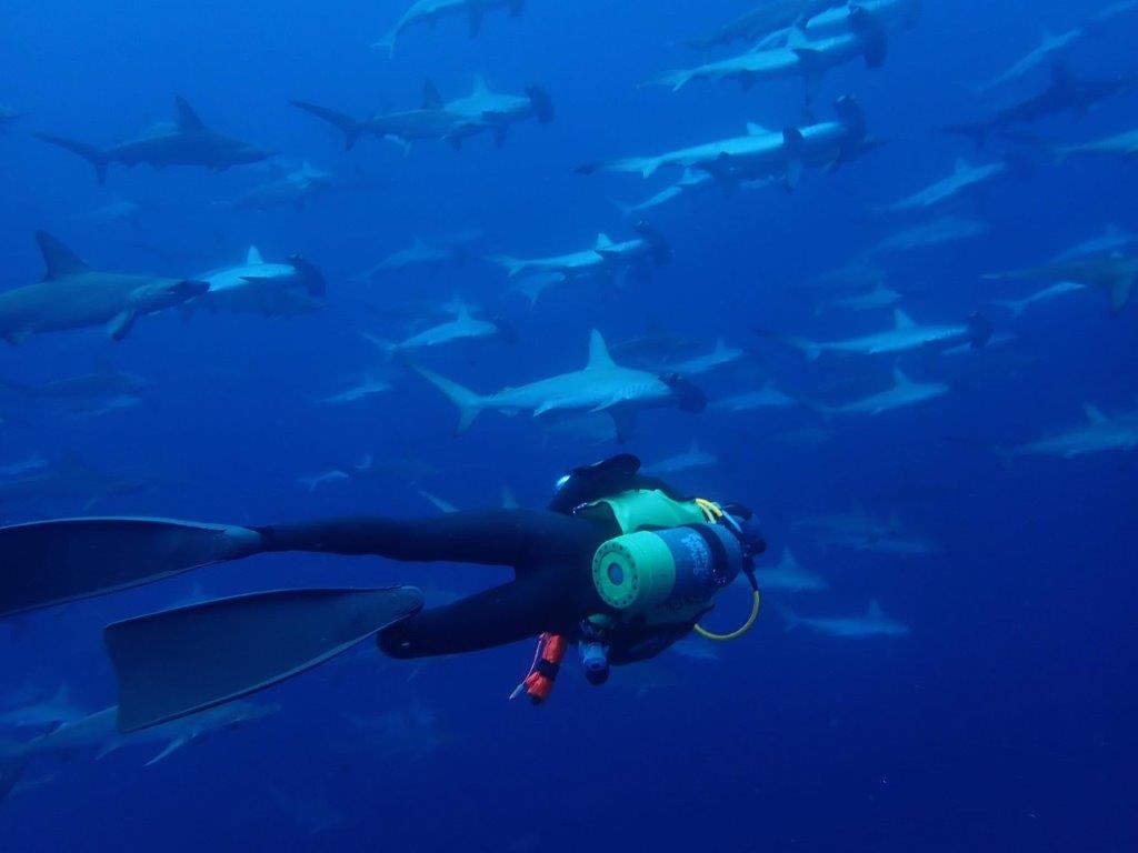 大阪 ダイビング 練習写真07