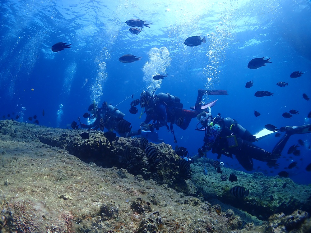 大阪 ダイビング 複数
