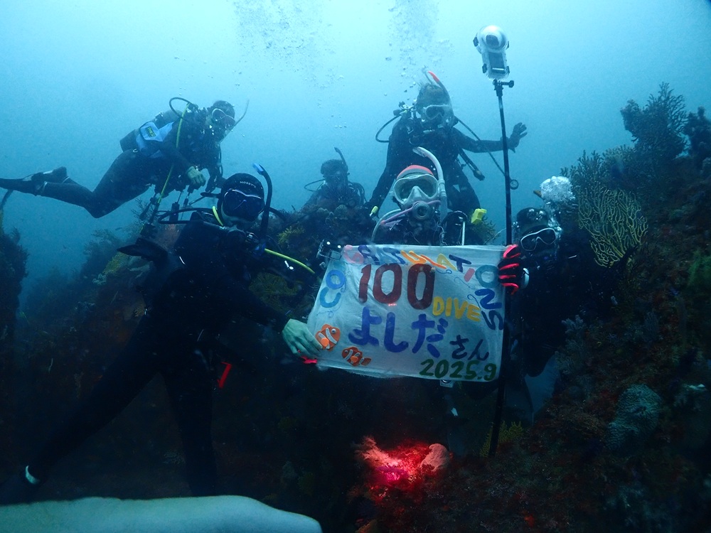 大阪 ダイビング 練習