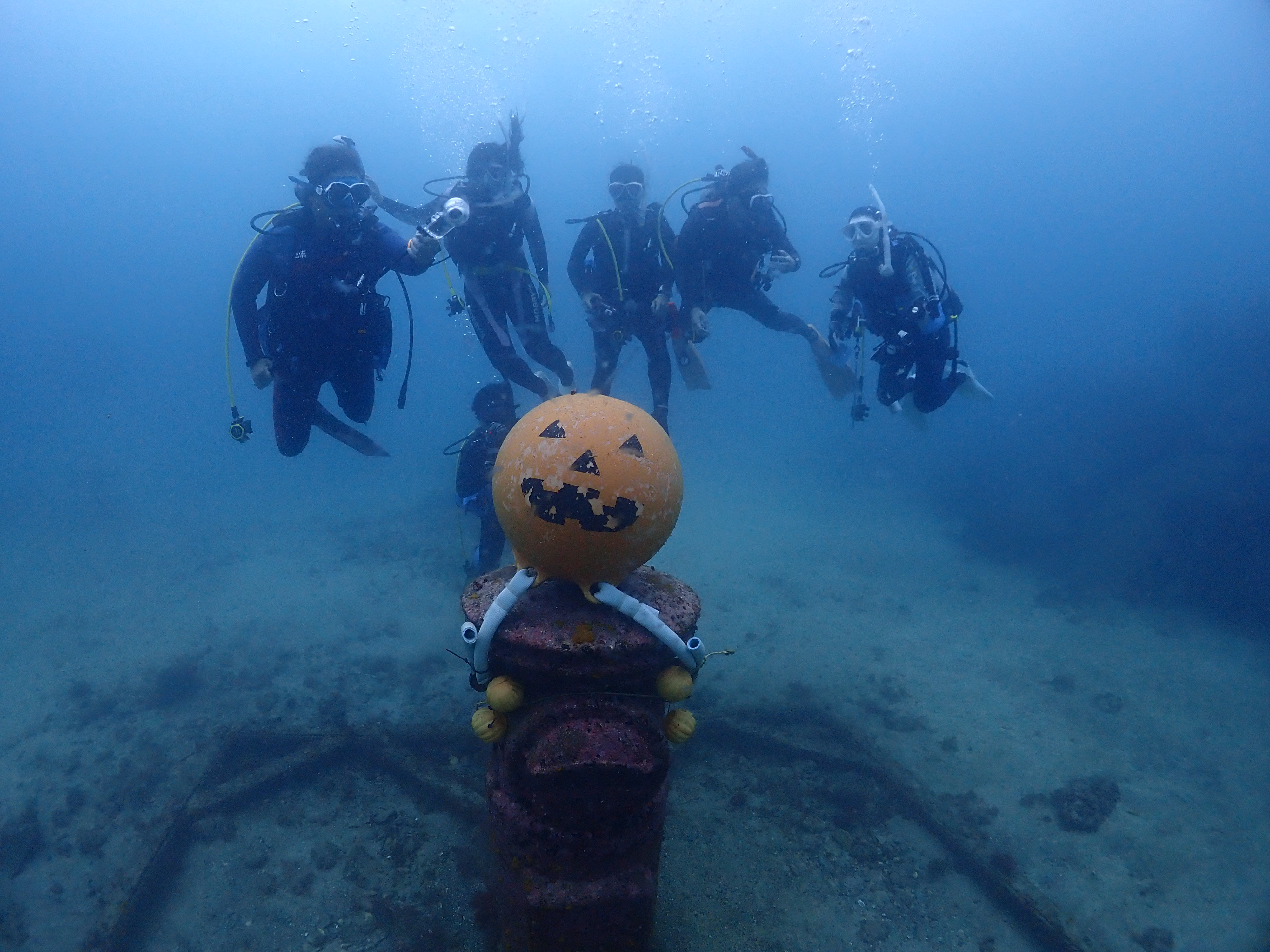 大阪 ダイビング 海中写真