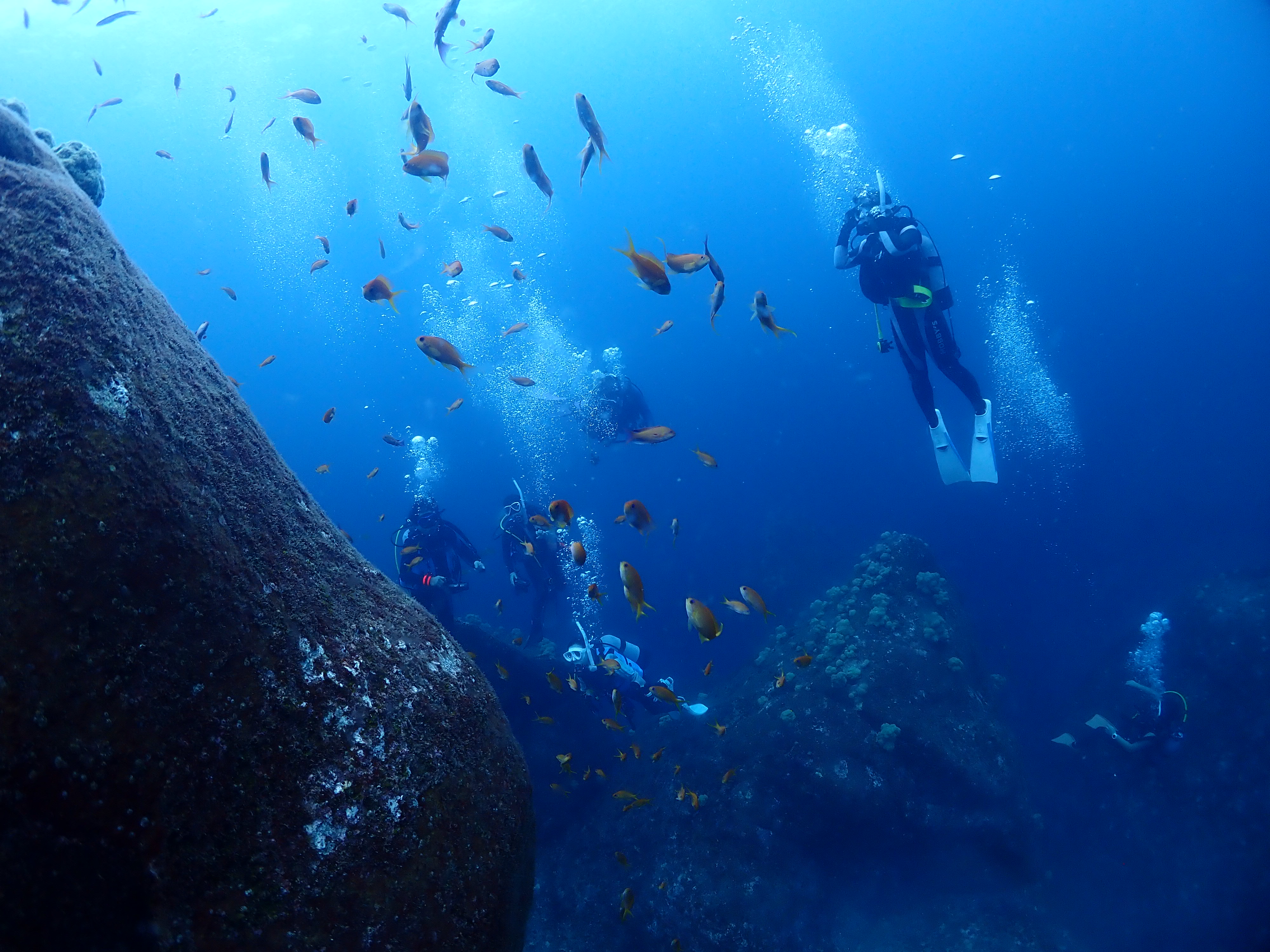 大阪 ダイビング 写真