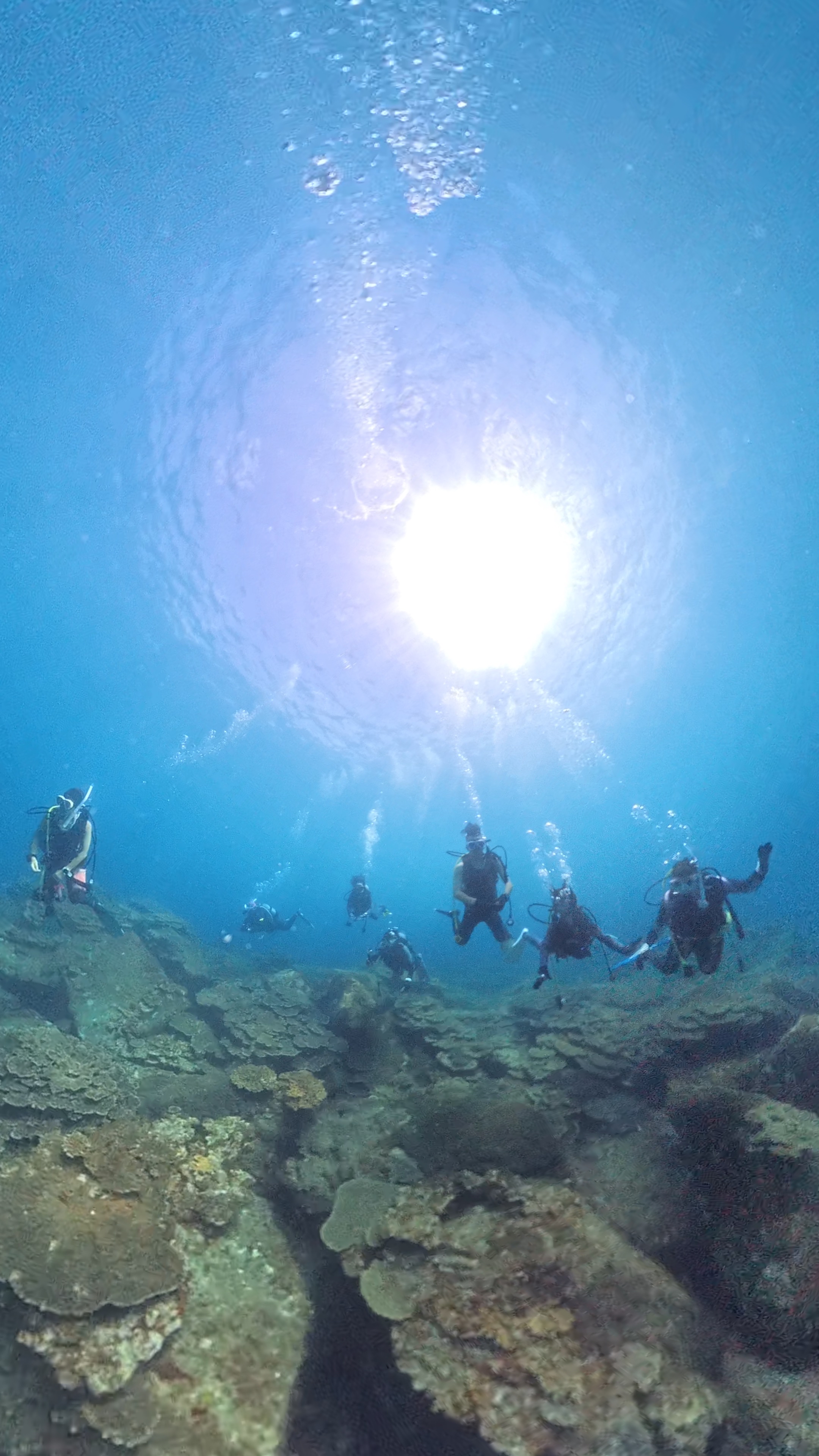 大阪 ダイビング 練習写真