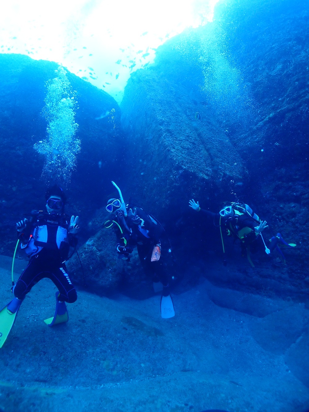 大阪 ダイビング　深海
