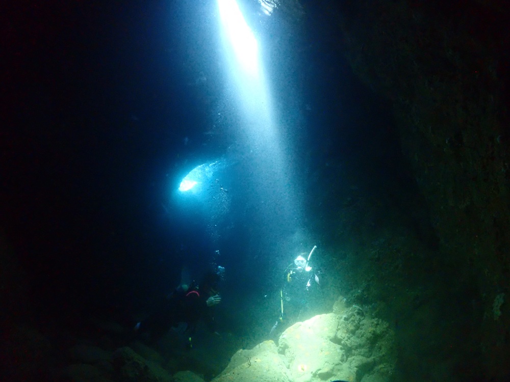 大阪 ダイビング 海中